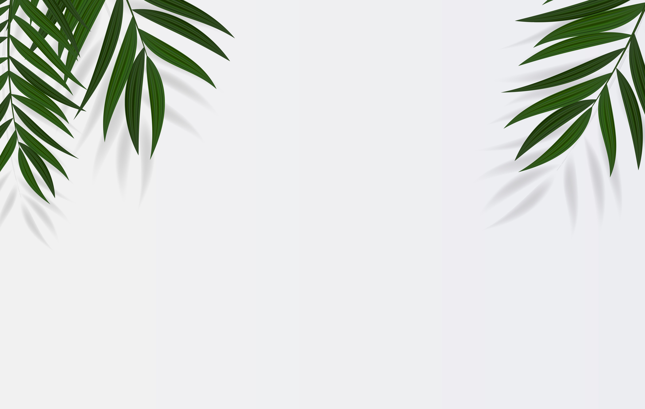 Palm Branches Background